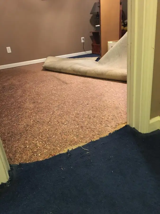 Carpet pad removal revealing water damage during Drying & Dehumidification in Somerville